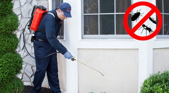 Saraykent Fare İlaçlama böcek ilaçlama ve haşere kontrolü — ilaclama-tr.com